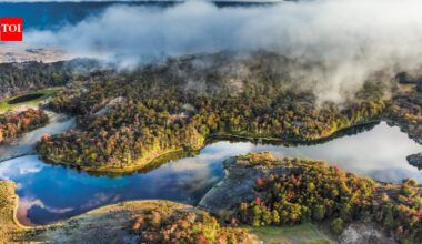 In 2004, Kris Tompkins’ conservation organisation acquired a 174,500-acre Chilean ranch and began restoring its grasslands and wildlife; in 2018 the ranch became part of a national park within a wider conservation effort that has helped protect nearly 15 million acres