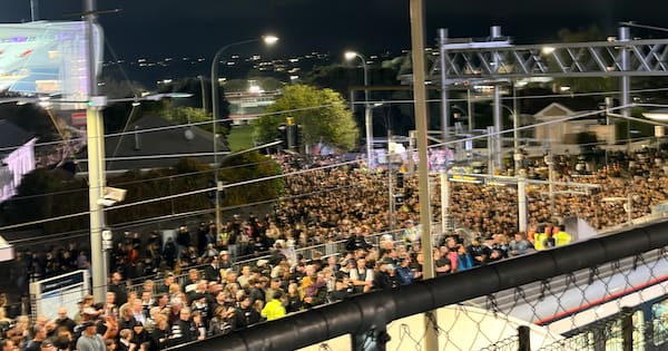 Eden Park trains need 'urgent attention’ after ABs match delays