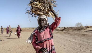 Darfur: Healthcare needs outstrip resources as Security Council extends Sudan sanctions