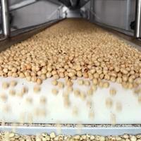 Türkiye’s hazelnut exports exceed $1.9 bln in first nine months
