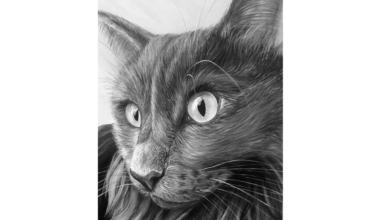 ‘Art 4 Animals 10’ exhibits art from 5th-graders to adults – BG Independent News