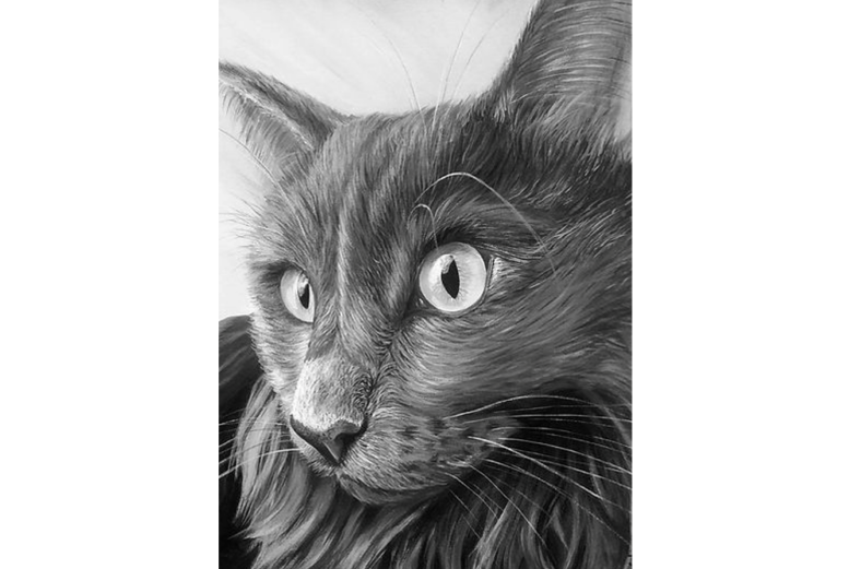 ‘Art 4 Animals 10’ exhibits art from 5th-graders to adults – BG Independent News