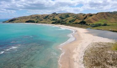 Review of East Coast marine reserve to shape its future management