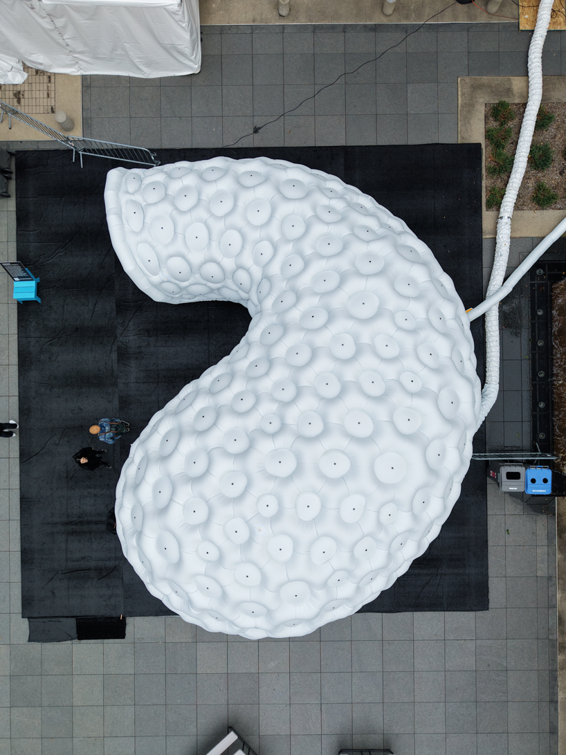 inflatable pavilion by pneuhaus mimics dragonfly’s vision through 221 camera obscuras - 3
