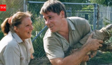 In Queensland, Steve Irwin and his wife Terri turned an avocado shed into a wildlife rescue hospital in 2004; more than 136,000 animals were treated over the following two decades | World News