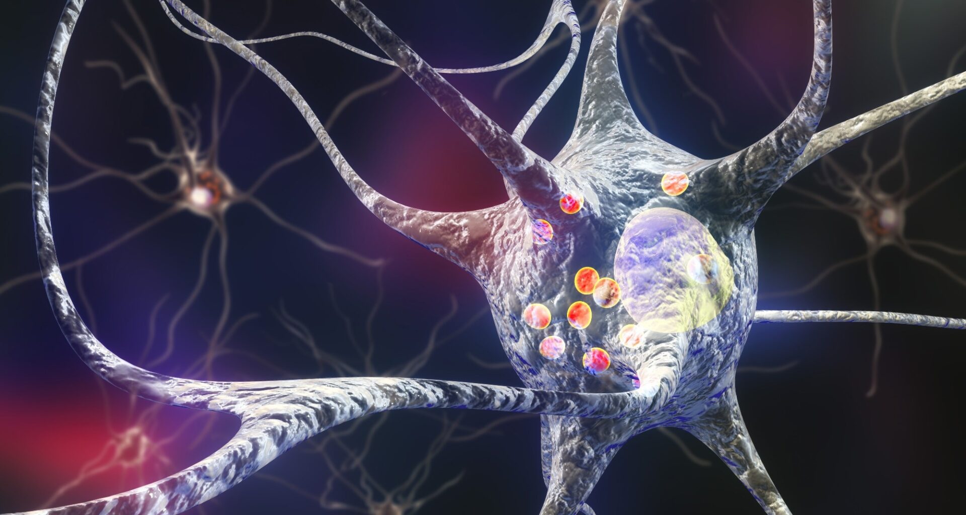 Image of neuron and intracellular proteins.