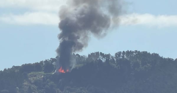 Firefighters control large property blaze in north Auckland