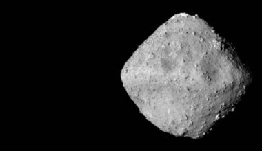 Ryugu amino acid