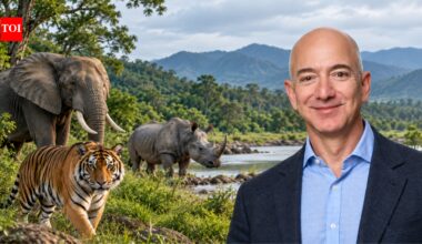 Jeff Bezos' Earth Fund joins eight other conservation groups in $500 million pledge to save world's most endangered species; alliance aims to prevent extinctions | World News
