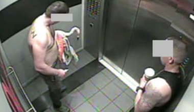 'Drunk and stupid': Man who took Vegas flamingo guilty of animal cruelty