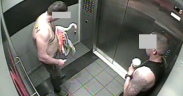 'Drunk and stupid': Man who took Vegas flamingo guilty of animal cruelty