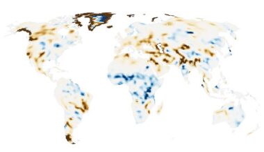 The Human Fingerprint on Earth’s Water Cycle