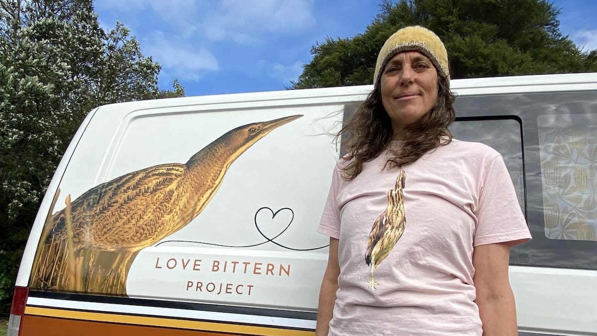 Australasian bittern survey asks volunteers to listen for booming calls