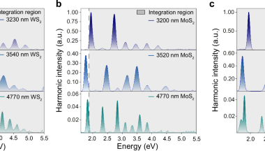 Strong field spectroscopy of many-body interactions in solids