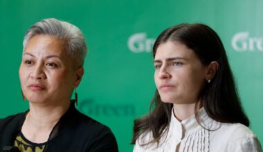 Greens fail to convince NZ business leaders they are credible coalition partners