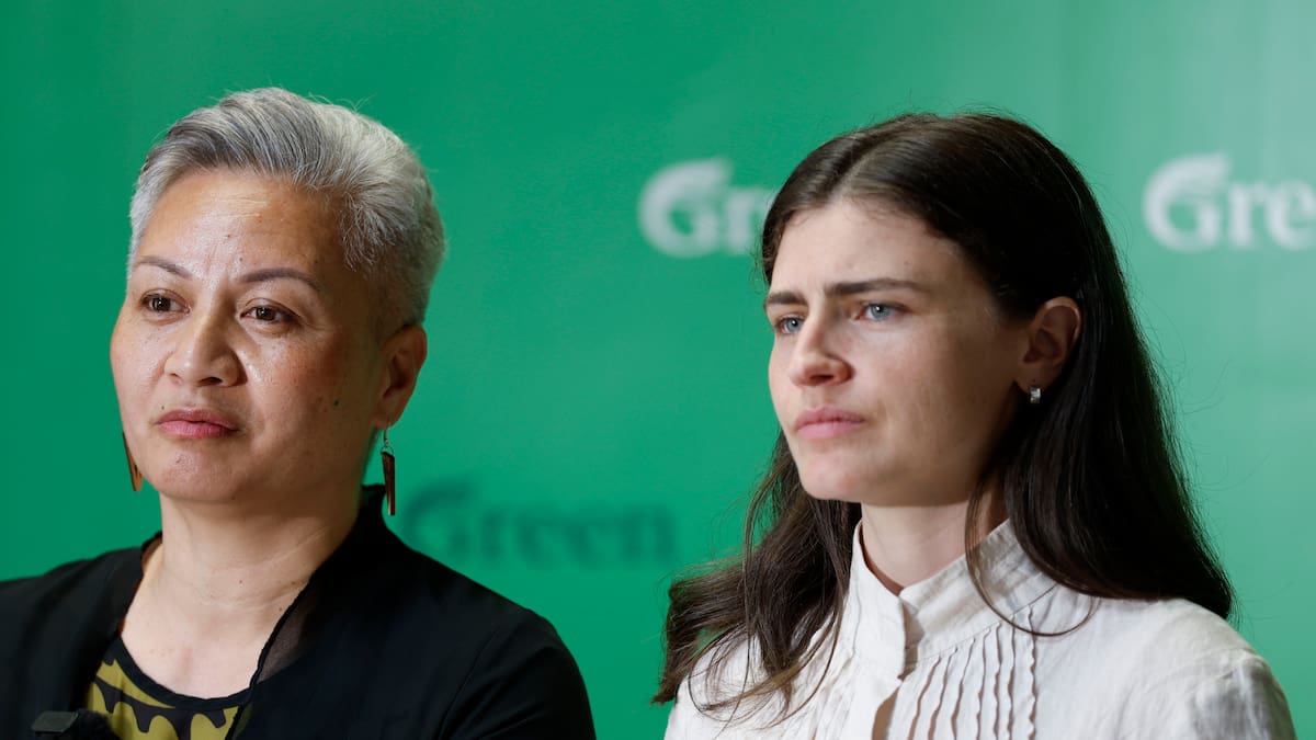 Greens fail to convince NZ business leaders they are credible coalition partners