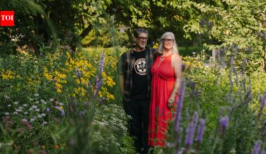 An Illinois couple replaced their ordinary grass lawn with a native garden; five years later, more than 130 native plant species and a parade of animals have transformed their backyard | World News