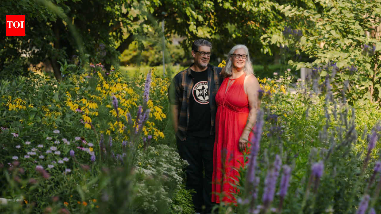An Illinois couple replaced their ordinary grass lawn with a native garden; five years later, more than 130 native plant species and a parade of animals have transformed their backyard | World News
