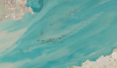 Iran war’s toxic impact on one of the planet’s most unique seas