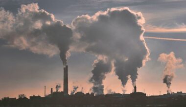 Record carbon dioxide levels will impact us for centuries, says UN weather agency
