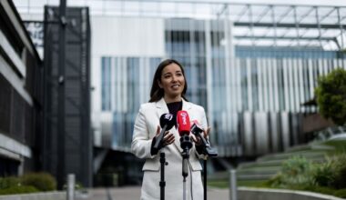 Opportunity's Qiulae Wong responds after 'really encouraging' poll surge - NZ Herald