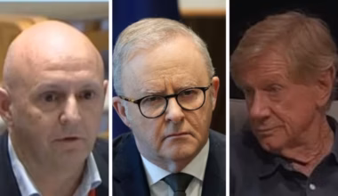 ‘Hundreds of millions of people will lose their jobs’: Leading Aussie economist puts Canberra on notice