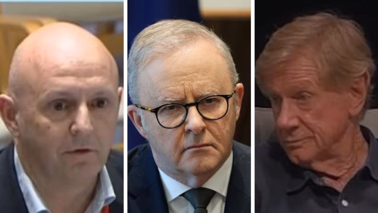 ‘Hundreds of millions of people will lose their jobs’: Leading Aussie economist puts Canberra on notice