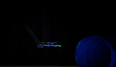 Cat-Like Whiskers Help Tiny Drones Fly in the Dark