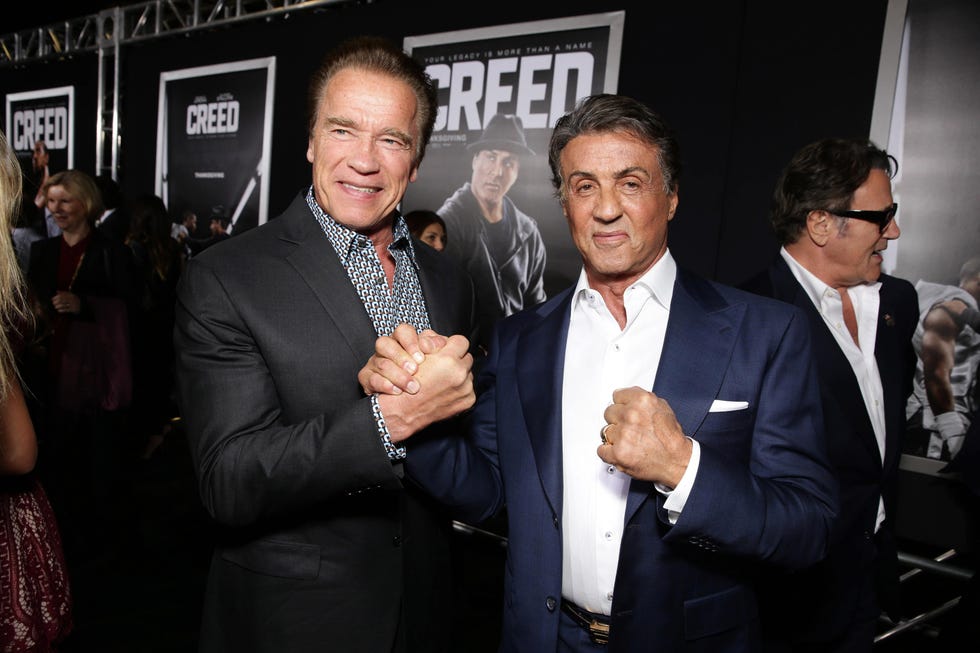 arnold schwarzenegger sylvester stallone