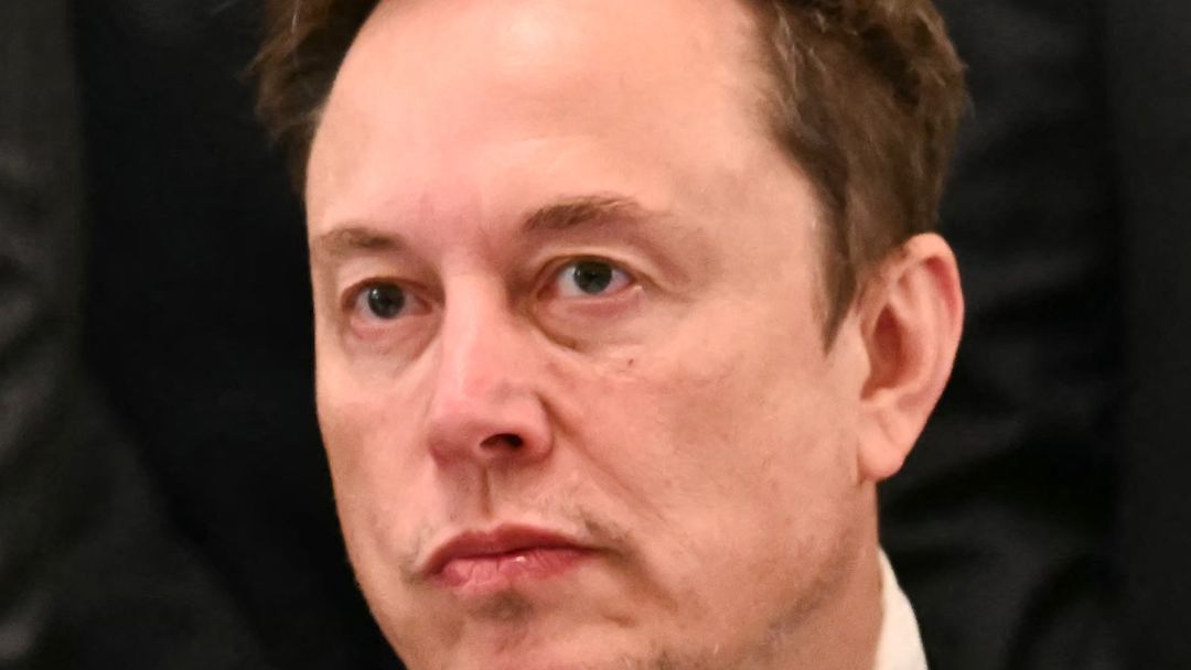 23038489 - Musk No Plan thumbnail.jpg
