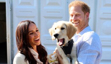 Did Meghan Markle Just Tease As Ever Dog Toys?
