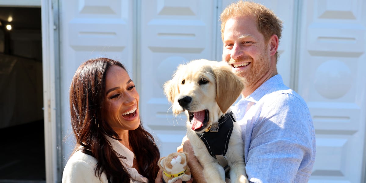 Did Meghan Markle Just Tease As Ever Dog Toys?