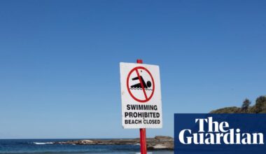 Authorities issue shark warning over whale that swam 11km upstream in Clarence River and later died | Australia news