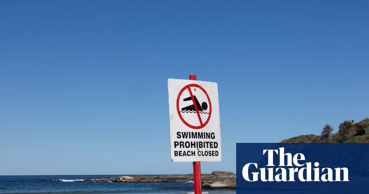 Authorities issue shark warning over whale that swam 11km upstream in Clarence River and later died | Australia news