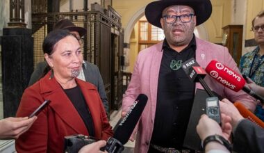 Te Pāti Māori coalition credentials fail to convince business leaders