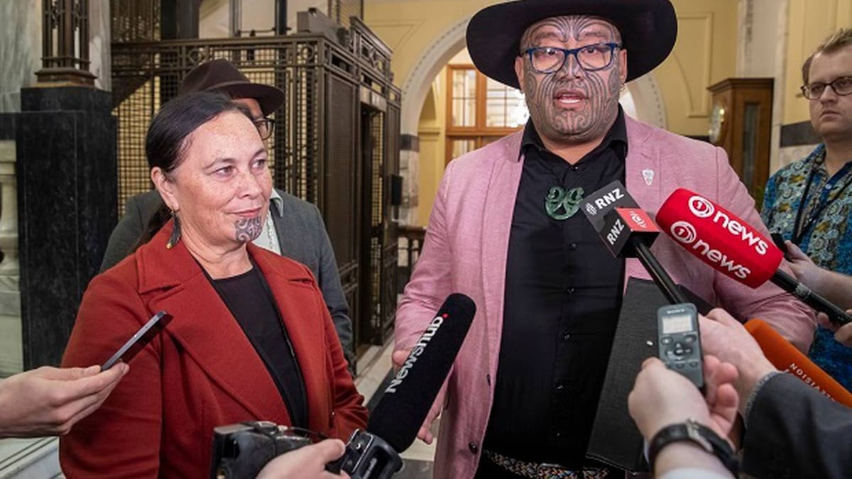 Te Pāti Māori coalition credentials fail to convince business leaders