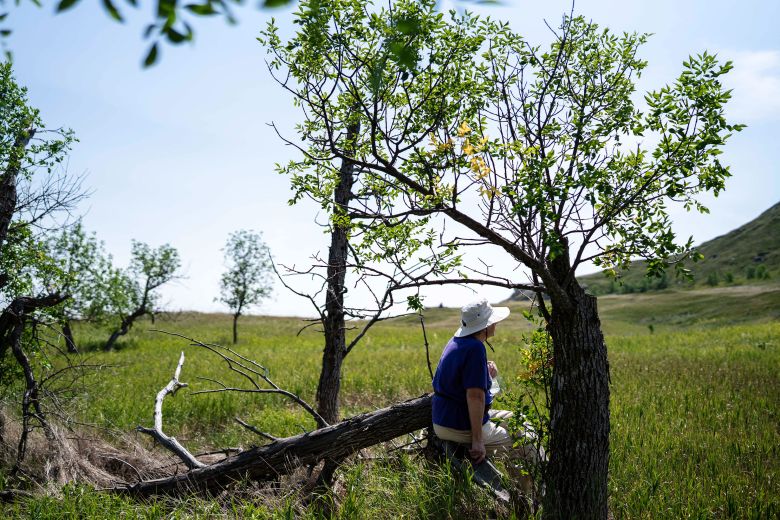 Leona Freymiller rests on a broken tree while hiking at White Butte Trailhead, the highest point in North Dakota, a day after gallbladder surgery.