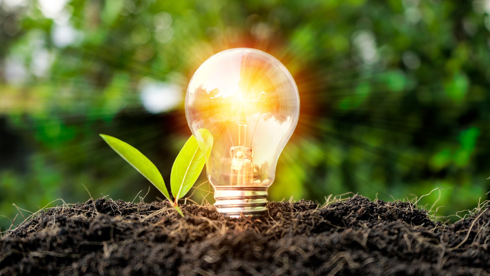 University of Alberta taps leading venture capital firm to manage Innovation Fund