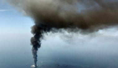 Sea life declined in Gulf of Mexico in years after BP oil spill, study finds