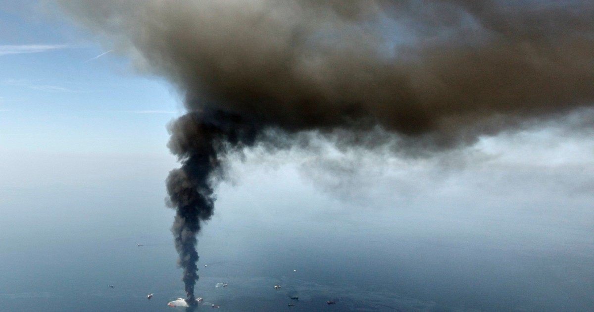 Sea life declined in Gulf of Mexico in years after BP oil spill, study finds