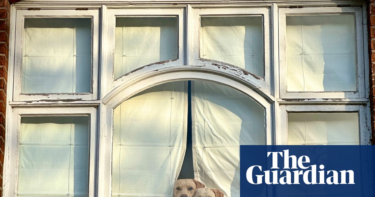 ‘They looked like two curtain-twitchers, though not very subtle ones’: Peter Crome’s best phone picture | Photography