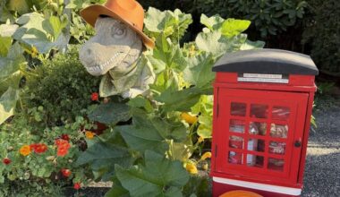Hans the dinosaur, dressed in a bright orange hat, among Juliane Holz's front yard flowers and shrubs in Roxborough on Sept. 29, 2026. Holz volunteers at the Manayunk Bridge Garden and helps take care of Manny and Bridget, the most well-known and beloved dinos in the community.