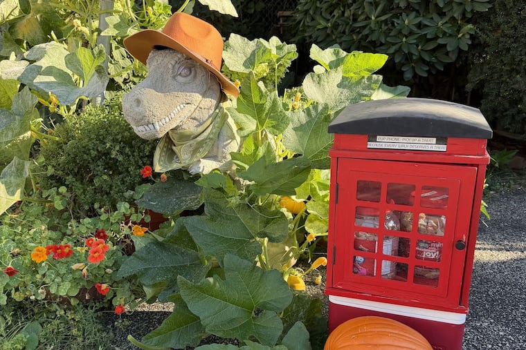 Hans the dinosaur, dressed in a bright orange hat, among Juliane Holz's front yard flowers and shrubs in Roxborough on Sept. 29, 2026. Holz volunteers at the Manayunk Bridge Garden and helps take care of Manny and Bridget, the most well-known and beloved dinos in the community.