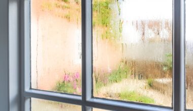 Auckland landlords ordered to pay $31,786 over damp, mouldy rental