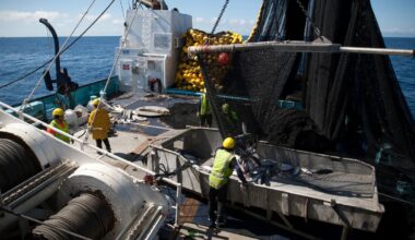 Commercial fish discard reviews extended as Jones bill remains ‘marooned’