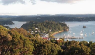 Russell on the cusp of becoming first mainland town to achieve pest-free status
