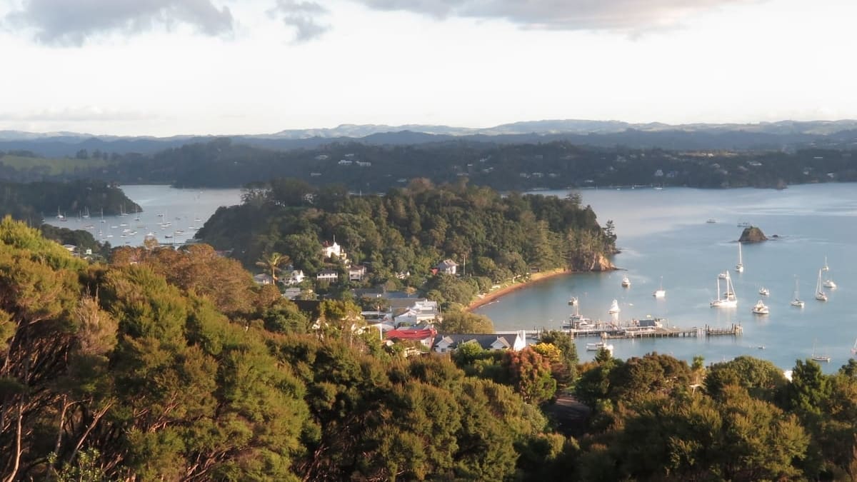 Russell on the cusp of becoming first mainland town to achieve pest-free status