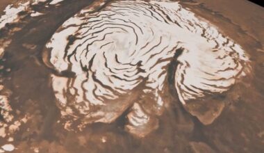 North Pole of Mars. (Credit: NASA/JPL-Caltech/MSSS)