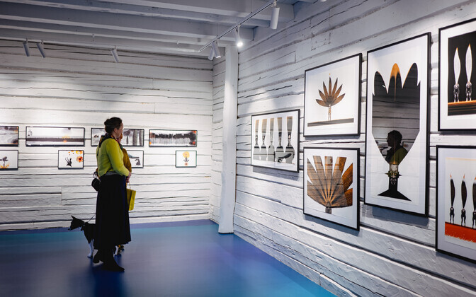 Gallery: Estonian artist Urmas Viik brings dynamic graphic show to Viljandi | News