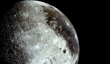 'Swamp-like colors' on the moon: New 130-page NASA science report reveals strange sights from Artemis II mission